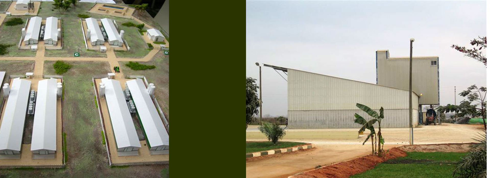 Agricultural-poultry